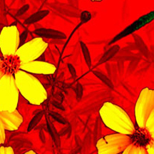 网页DDOS攻击平台